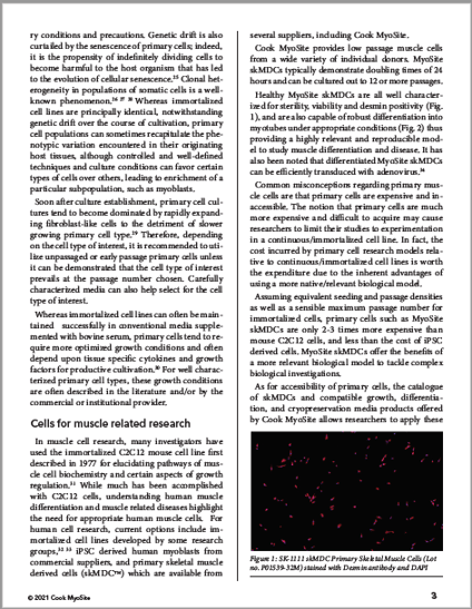 whitepaper page 3