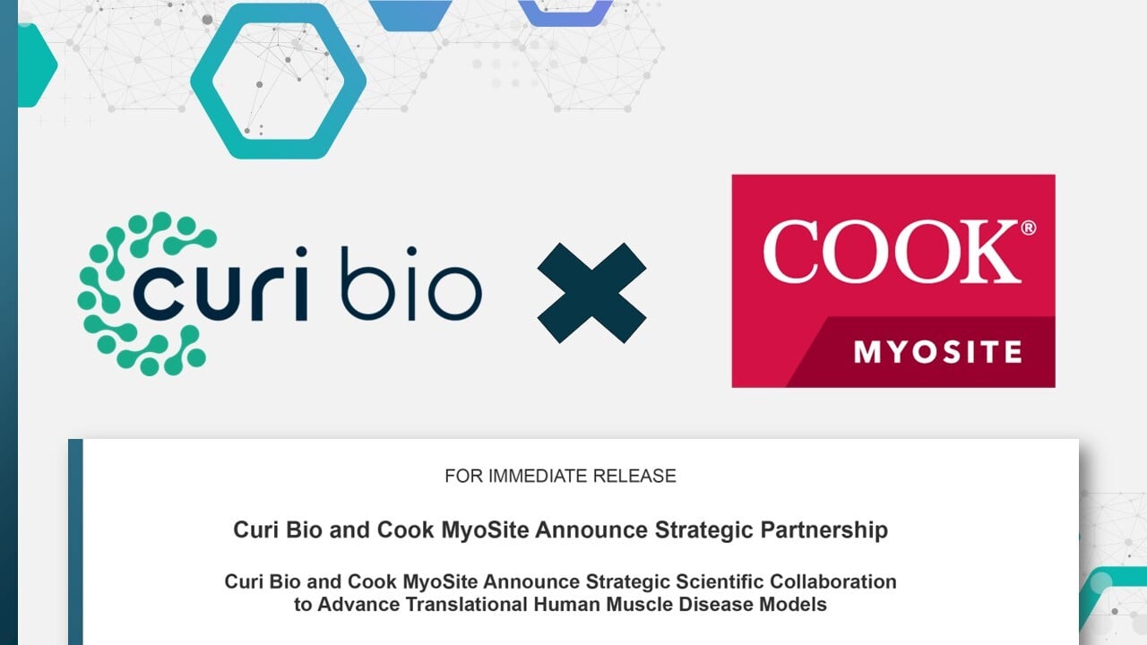 Press Release: Curi Bio and Cook MyoSite Announce Strategic Partnership