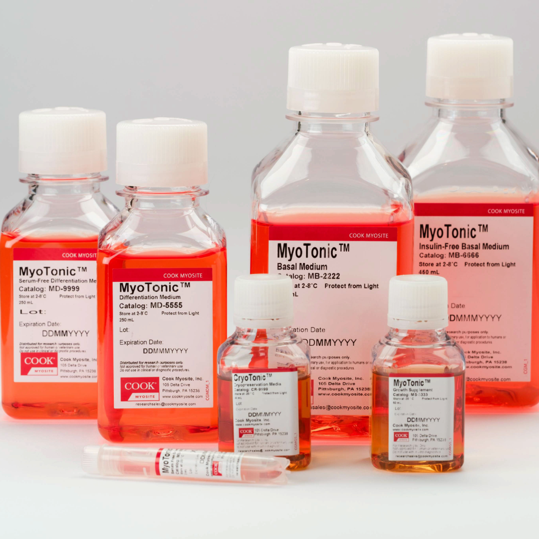 Choosing the Right Media for Your Research