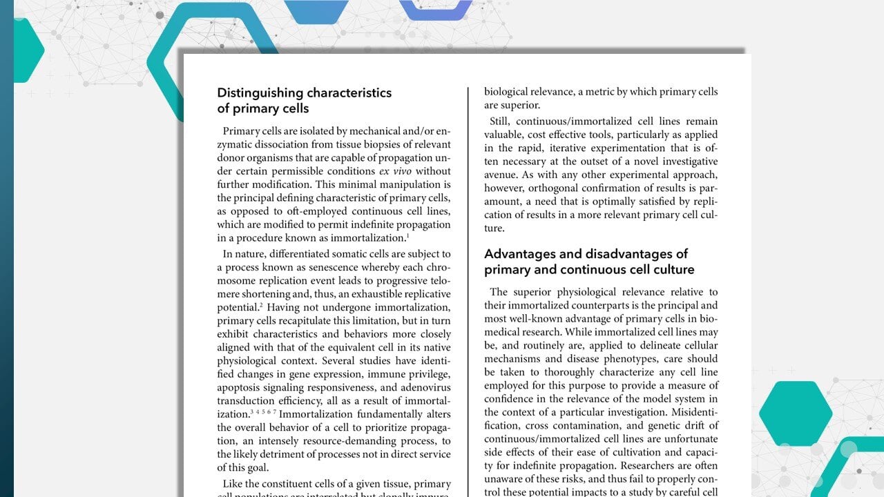 Whitepaper: Immortalized vs. Primary Cells
